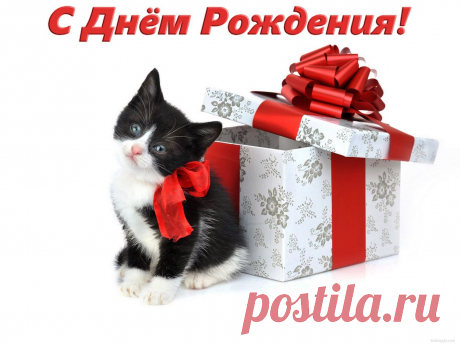 открытка