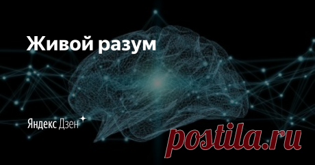 Живой разум | Яндекс Дзен Практикующий кадастровый инженер решил создать этот канал, чтобы найти в нем отражение пережитого опыта, собственных мыслей и планов на будущее.

Вопросы, которые я собираюсь поднимать:
✔️кадастр, регистрация, помощь советом
✔️инвестирование
✔️изучение иностранного языка
✔️эмоциональные переживания