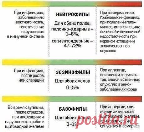 Женские секреты, советы и рецепты