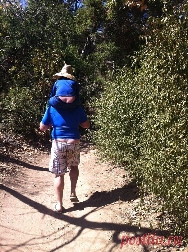 18 фантастических пап, которым точно не нужно проходить ДНК-тест на отцовство