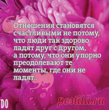 #цитата_домашнего_очага
