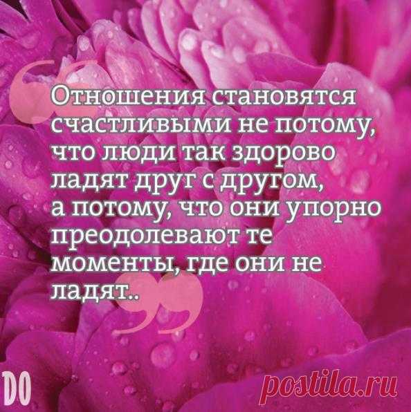 #цитата_домашнего_очага