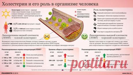 Всё только самое интересное!: Миф о холестерине — крупнейший обман ХХ века
