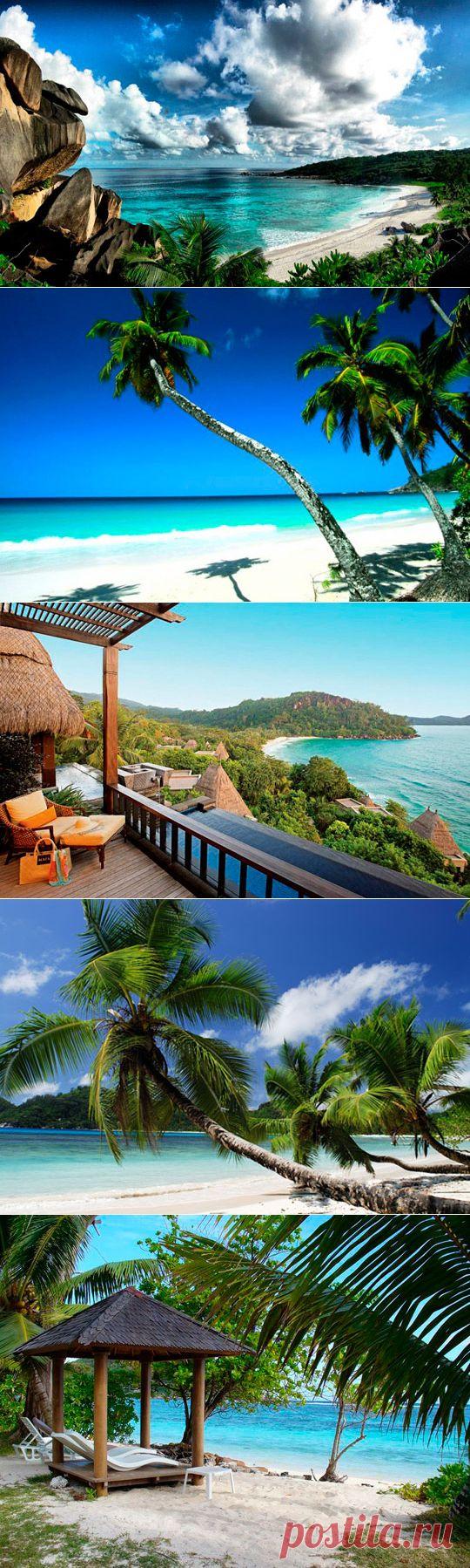 Сейшельские острова отличаются огромным разнообразием фауны и флоры, недаром около половины всей площади занимают национальные парки и заповедники. Здесь можно встретить очень редкие растения и животных – например, самую маленькую на земле лягушку и самую большую морскую черепаху, уникальные кокосовые пальмы, нелетающих птиц, интересные насекомоядные растения, которых больше нет нигде в мире.