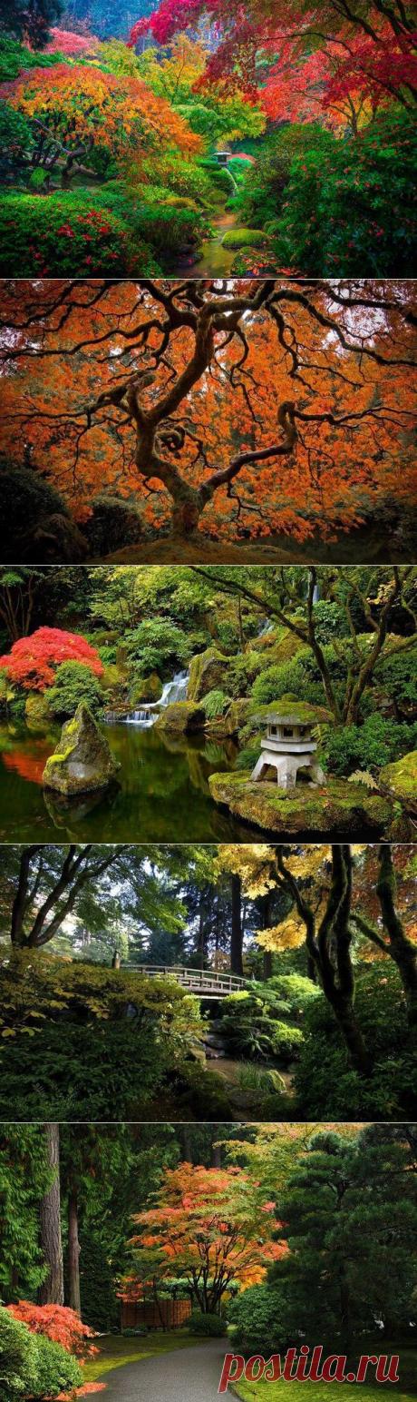 Японский сад, Портленд, США | WorldCity