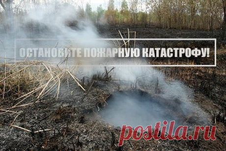 Вы помните дымное лето 2010?! Когда невозможно было заснуть ночью от удушающего запаха гари. Когда в метро не было видно противоположного конца вестибюля из-за висящего на платформе дыма. В этом году из-за аномально раннего и сухого лета ситуация может быть гораздо хуже. Помогите не допустить пожарную катастрофу: www.vsegorit.ru