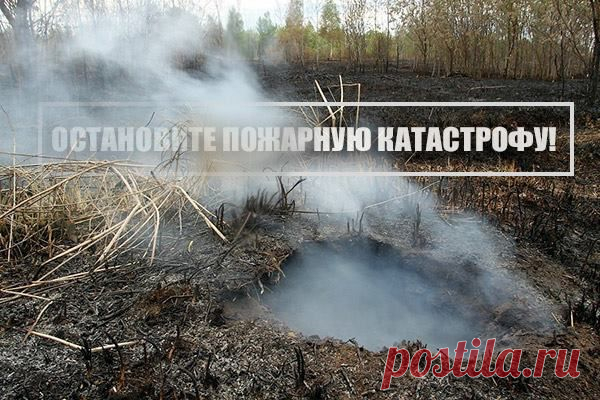 Вы помните дымное лето 2010?! Когда невозможно было заснуть ночью от удушающего запаха гари. Когда в метро не было видно противоположного конца вестибюля из-за висящего на платформе дыма. В этом году из-за аномально раннего и сухого лета ситуация может быть гораздо хуже. Помогите не допустить пожарную катастрофу: www.vsegorit.ru