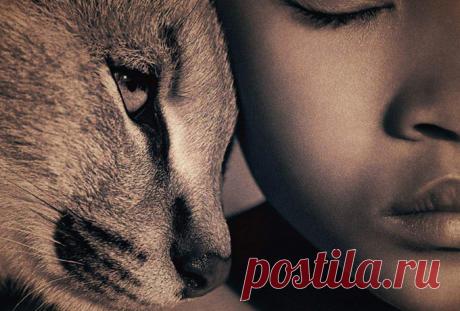 Рейтинг самых преданных знаков Зодиака