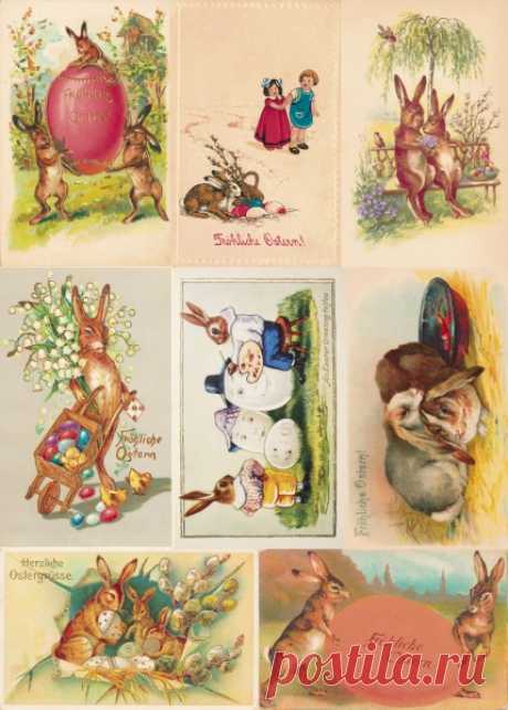 shop_items_catalog_image1466.jpg (429×600)