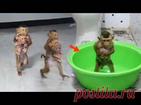 Awes0me Smartest Molly Hold CC To Bathe With Him & Take Her To Bedroom For Mom Wear Diaper