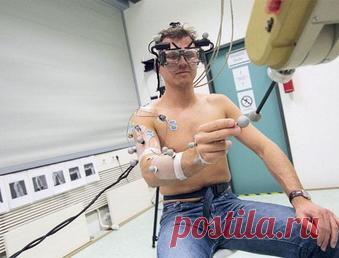 Наш мозг подчиняется иерархии