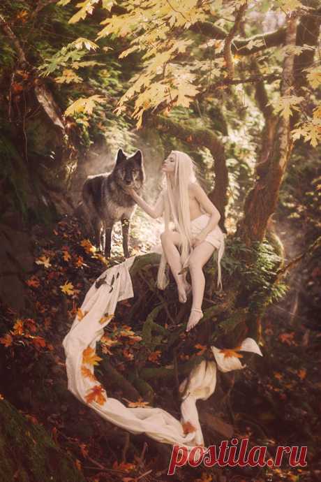 Photographer: Andrea Borden
Model: Allyn Durden
Wolfdog: Rogue
Handlers: John and Lori Lumgair
Retouchers: Andrea Bordern and Anna Roedocker-Mann