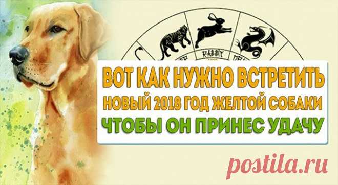 Чтобы год Собаки был удачным, нужно обязательно почтить покровителя года: — Полезные советы