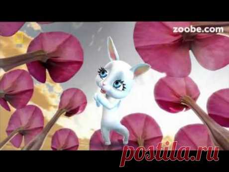 Зайка ZOOBE на русском «Склероз замучил»