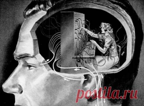 Вторжение ловцов в души людей Четыре основных инстинкта превращают человека в марионетку: жадность, честолюбие, любопытство, половой инстинкт. В своей работе их используют консультанты в супермаркетах, которые действуют на продаже эмоций. Руководители сетевых компаний и сетевого маркетинга выплачивают каждому своему агенту от двадцати до пятидесяти процентов с продаж. Естественно консультанты постараются затронуть все ниточки ваших основных инстинктов, чтобы отключить ваше рациональное мышление