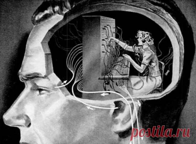 Вторжение ловцов в души людей Четыре основных инстинкта превращают человека в марионетку: жадность, честолюбие, любопытство, половой инстинкт. В своей работе их используют консультанты в супермаркетах, которые действуют на продаже эмоций. Руководители сетевых компаний и сетевого маркетинга выплачивают каждому своему агенту от двадцати до пятидесяти процентов с продаж. Естественно консультанты постараются затронуть все ниточки ваших основных инстинктов, чтобы отключить ваше рациональное мышление