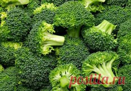 Брокколи на английском — Broccoli