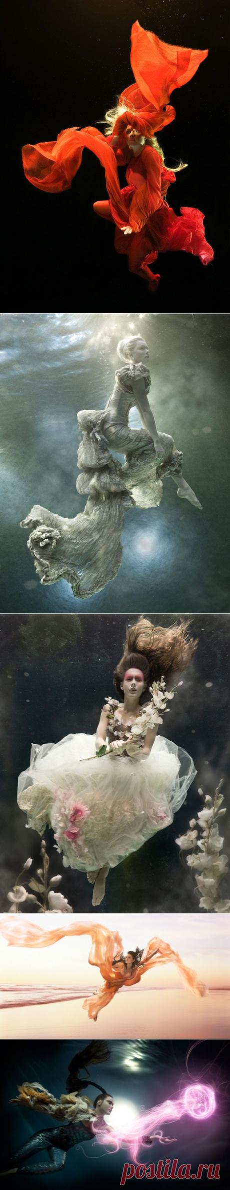 Эффект движения, иллюзия свободы в работах Zena Holloway