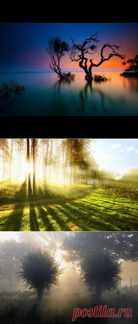 Breathtaking Examples of Nature Photography -- Захватывающие фотографии природы