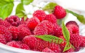 Продукты долголетия, доступные каждому | Мамам, женщинам, бабушкам и очень любознательным.