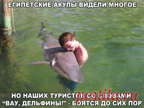 Поиск новостей