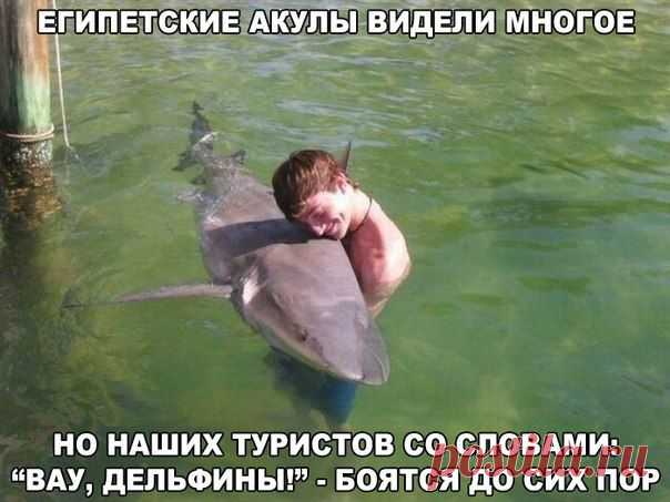 Поиск новостей