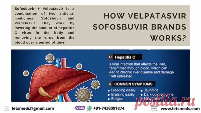 Learn more about the variety of Generic Velpatasvir Sofosbuvir brands available at LetsMeds, a trusted provider of hepatitis medications. Currently, LetsMeds is offering a discount on Generic Velpatasvir Sofosbuvir Tablets. For detailed pricing information, please contact us at +91-7428091874.