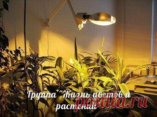 Мои закладки