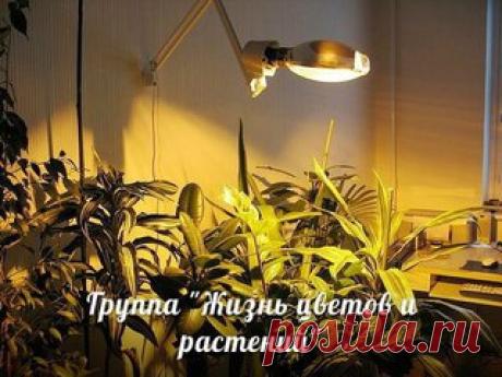 Мои закладки