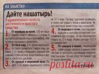 (18) Одноклассники