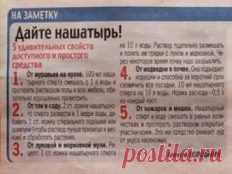 (18) Одноклассники