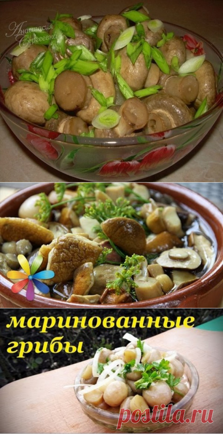 (1) Одноклассники