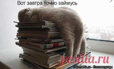 оформление разное | Записи в рубрике оформление разное | Дневник iva63