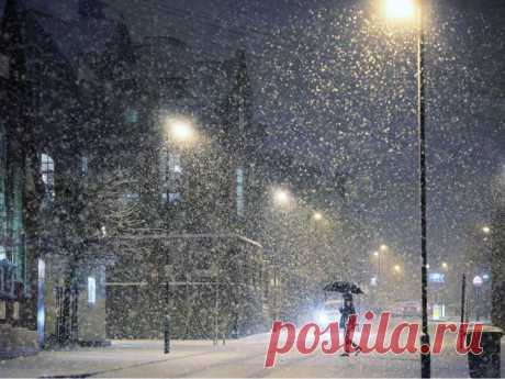 Я люблю,
когда над городом —
снег,
неуверенно кружащийся,
ничей.
Неживой,
мохнатый,
медленный снег
одевает в горностаи
москвичей.
В горностаевом пальто
идет студент.
В горностаи
постовой разодет...
Я люблю смотреть
на белую рябь.
Фонари плывут над улицей —
горят.
Как наполненные пламенем
ноли,
по-домашнему
горят фонари.
Пухлый снег идет,
и я за ним
бегу.
Снег запутался в сплетенье кустов...

На снегу,
на очень тихом
снегу —
восклицательные знаки
следов!

Роберт Р