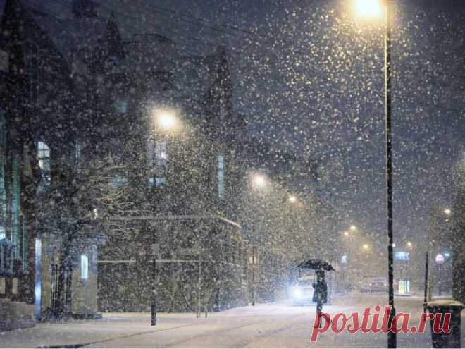 Я люблю,
когда над городом —
снег,
неуверенно кружащийся,
ничей.
Неживой,
мохнатый,
медленный снег
одевает в горностаи
москвичей.
В горностаевом пальто
идет студент.
В горностаи
постовой разодет...
Я люблю смотреть
на белую рябь.
Фонари плывут над улицей —
горят.
Как наполненные пламенем
ноли,
по-домашнему
горят фонари.
Пухлый снег идет,
и я за ним
бегу.
Снег запутался в сплетенье кустов...

На снегу,
на очень тихом
снегу —
восклицательные знаки
следов!

Роберт Р
