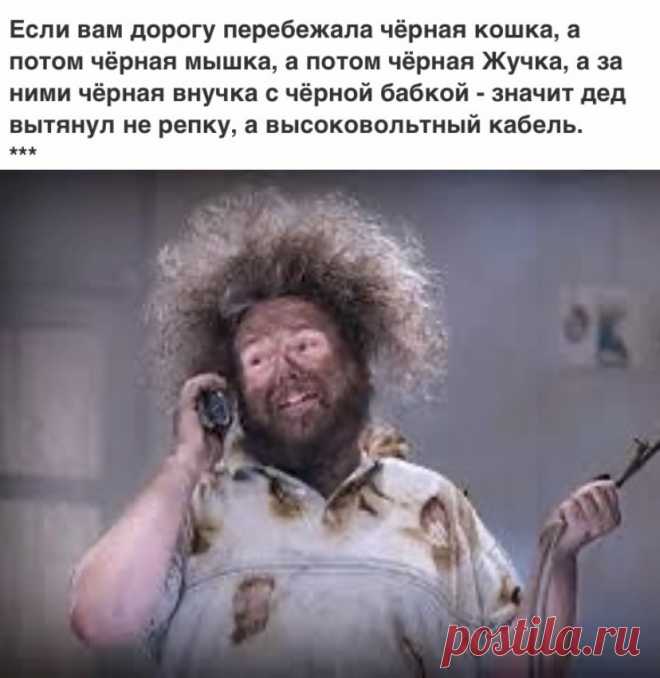 Выпуск №6710 - выпуск анекдотов сайта вокруг смеха