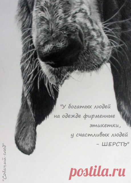 м