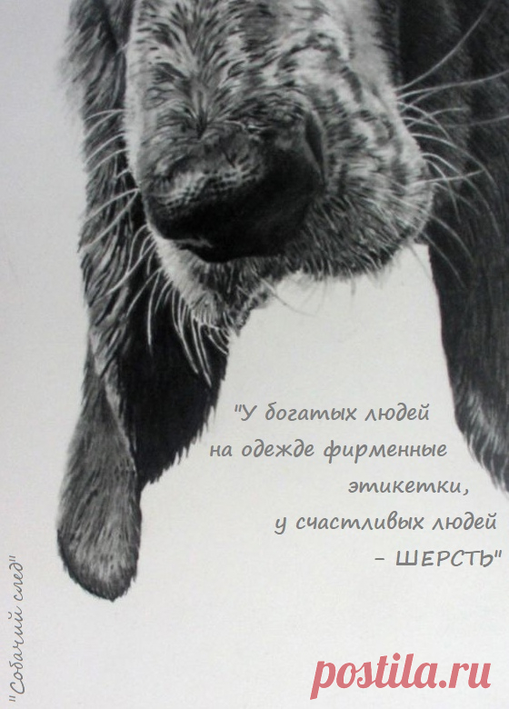 м