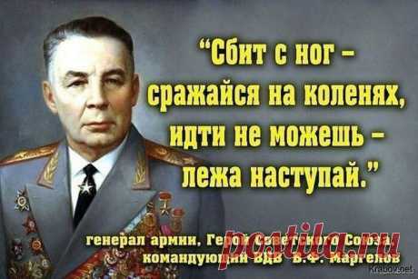 Александр 7486 от СМЗХ чртг Джива
Россия, Асгард Ирийский