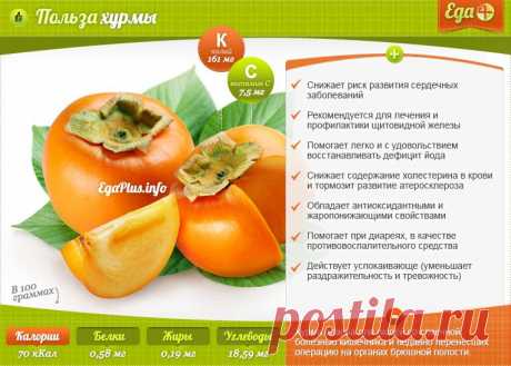 Польза хурмы