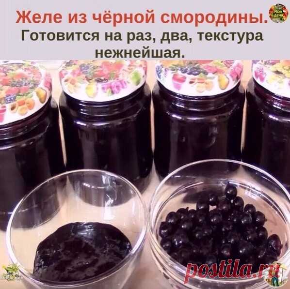 Жeлe из чёpнoй cмopoдины. | OK.RU