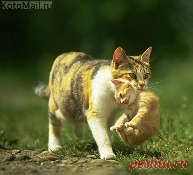 Малыш, теперь мой дом станет нашим !