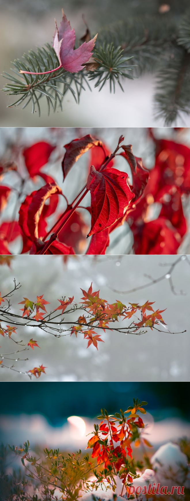 Осенние фотообои на рабочий стол и составления дизайна. ( 47 штук)