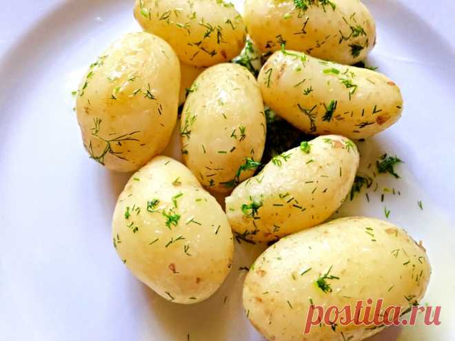 Сезон редиса. Салаты.