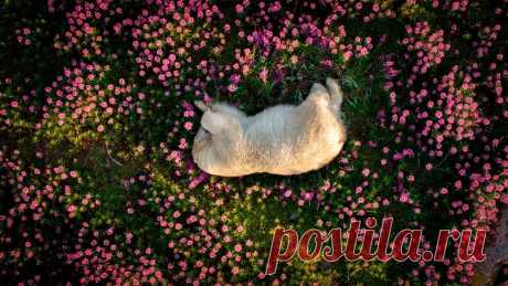 The Nature Photography Contest 2024: галерея работ победителей конкурса - ВФокусе Mail