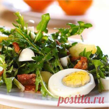 Что приготовить из одуванчиков: 6 блюд — Фактор Вкуса