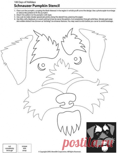 Schnauzer Pumpkin Stencil also great template for sewing | schnauzers