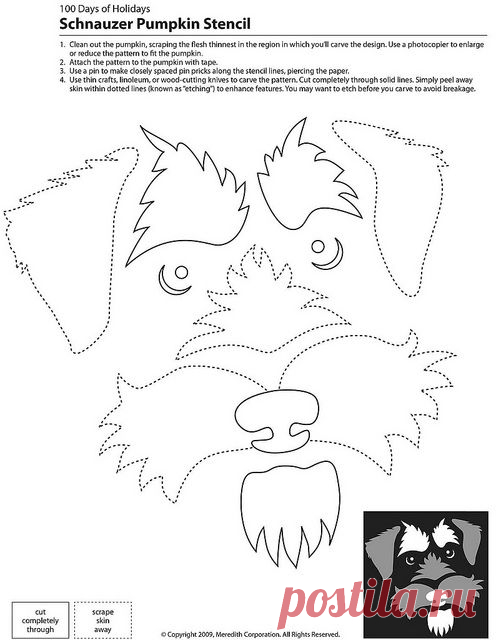 Schnauzer Pumpkin Stencil also great template for sewing | schnauzers