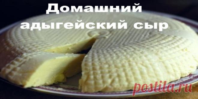 Домашний адыгейский сыр 230 ккал на 100 грамм | Полезные советы