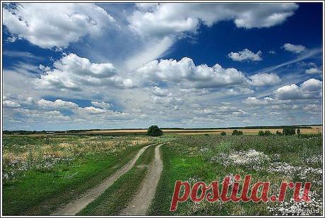 (47) Одноклассники